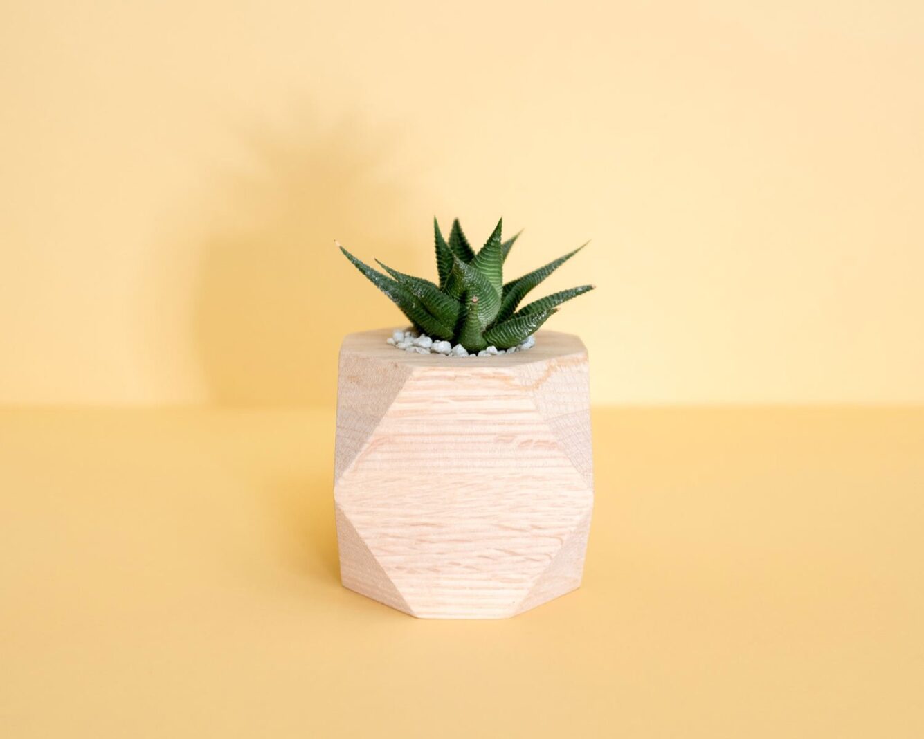 Trip Iqaluit Nunavut A Canadian Arctic City