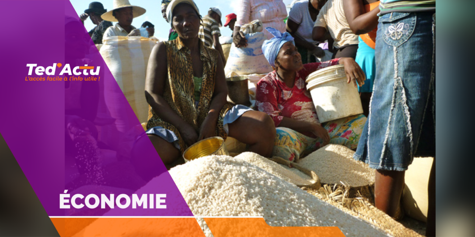 Artibonite : le kilo de riz se vend au prix record de 750 gourdes