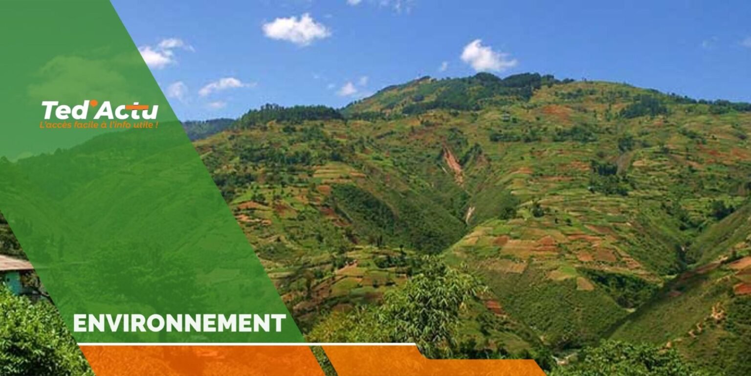 Le Ministre de l’Environnement et la coordonnatrice Résidente en Haïti invite les secteurs à prioriser les problèmes climatiques