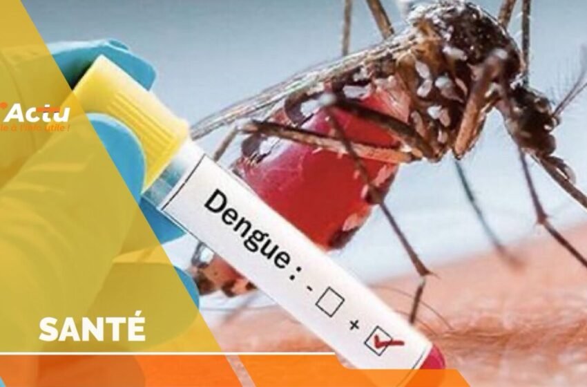 Plus de 700 cas de dengue enregistrés en Haïti
