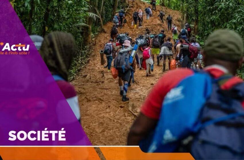  17 000 migrants haïtiens ont traversé la jungle de Darién en 2024