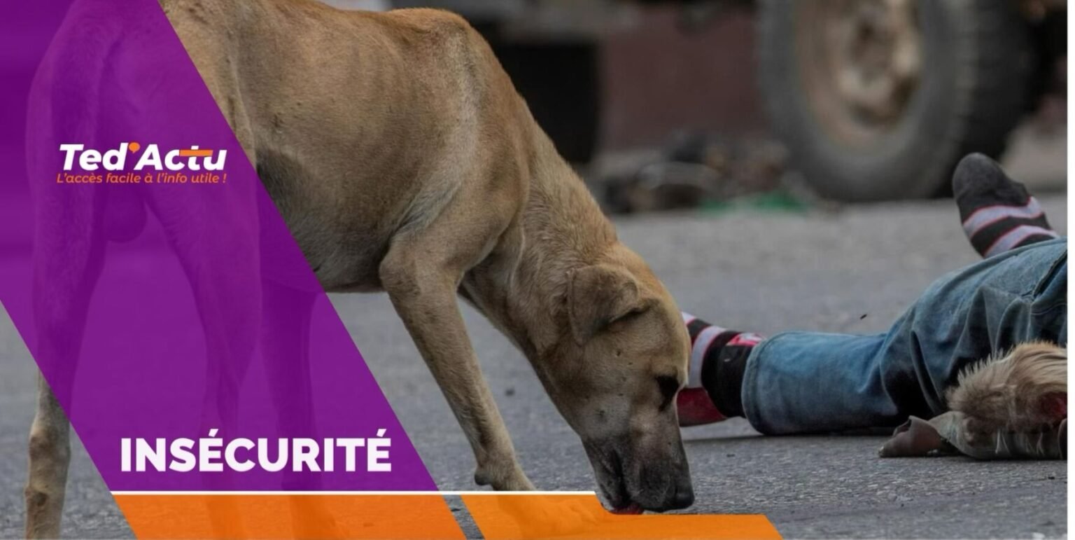 Plaine du Cul-de-Sac : plus de 80 morts et près de 5 000 déplacés dans de violents affrontements entre gangs