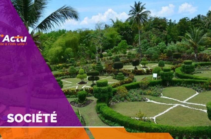Le Jardin botanique des Cayes menacé de disparition