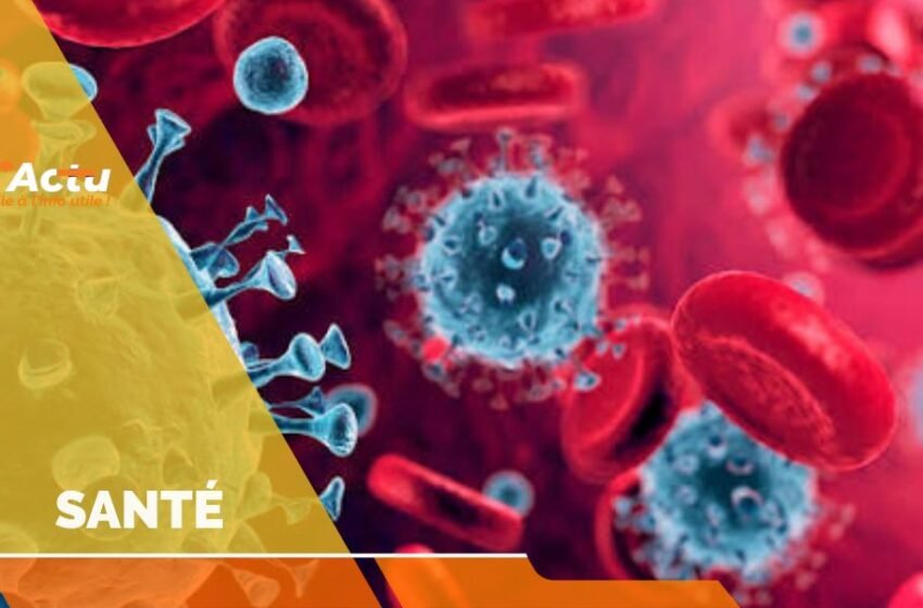 Haïti face au virus Oropouche : 14 cas confirmés dans 7 départements