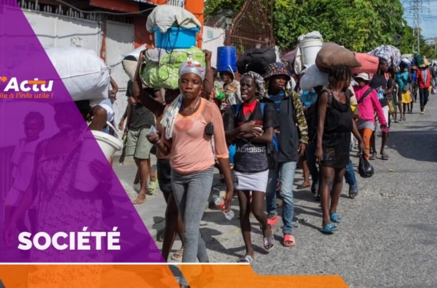  Violences sexuelles et sexistes : MSF alerte sur une explosion des cas en Haïti