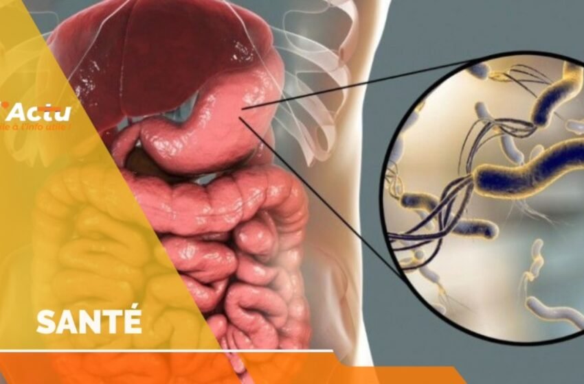 H. pylori en hausse : une crise silencieuse liée à l’eau contaminée en Haïti ?