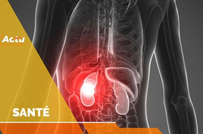  Insuffisance rénale : un danger discret qui frappe de plus en plus d’Haïtiens
