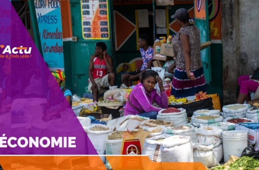  Haïti en déficit commercial massif avec la RD : 205 M$ importés pour 30 M$ exportés